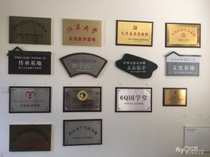 專業(yè)廣告圖文設(shè)計(jì)制作與網(wǎng)頁設(shè)計(jì) 打造品牌視覺影響力